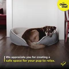 A good pet bed creates a safe space for your pup to relax. It's their personal spot in the house. I appreciate all the paw-some dads who provide this comfort for their fur babies.