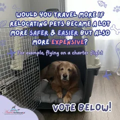 A question for all pet parents: would you travel more if relocating pets was safer and easier, but also more expensive, like flying on a charter flight? Let us know your thoughts.
