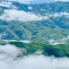 Looking for a beginner-friendly trek with stunning views? Gangadikal is an 8 km round trip in the Kudremukh National Park that offers breathtaking views of the Lakya Dam backwaters from its peak.