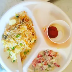 A guest's plate with a serving of my vegetable biryani, gulab jamun, and raita, showing a complete meal.