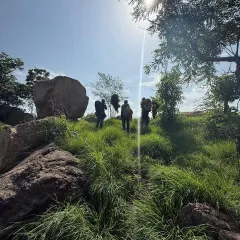 The approach to the crag is part of the adventure. A group of climbers hiking up a grassy hill under the summer sun, ready for a day on the rocks.