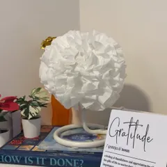 We practice gratitude every day. This little corner serves as a reminder to appreciate our journey and each other.