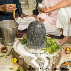 Here you see the sacred ritual of Abhishekam, the ceremonial bathing of a Shiva Lingam with milk. I provide personalized guidance for performing such pujas, helping you to make offerings with true devotion and understanding.