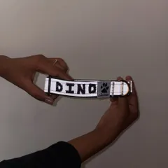 Holding up the personalized 'Dino' collar to show the final product. The hand embroidery adds a special touch to our best-selling reflective collars.