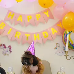 We love turning your vision into reality. This is Mimi celebrating her first birthday with a full party setup, complete with a custom pink "Pawty Cake" we made just for her special day.