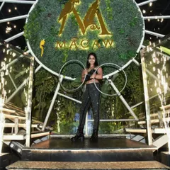 Posing on stage at Macaw by Stories, framed by fountains of cold sparks. This is a great way to make an entrance or create a picture-perfect moment.