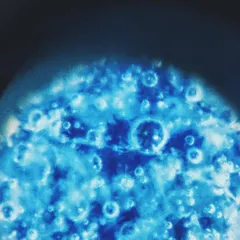 This is what glaze looks like under a microscope. Every bubble, crackle, and crystal is a tiny universe created by heat and chemistry in the kiln. It’s a reminder of how much magic is happening on a microscopic level.