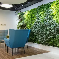 Viewed from a different angle, the living wall adds depth and texture to the office lounge. This biophilic design element is strategically placed to improve the well-being and comfort of everyone who uses the space.