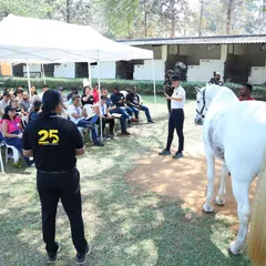 We offer more than just a meeting room. This is our Horse Assisted Leadership Training in action with a team from IBM, a unique corporate program where leadership and teamwork are learned through powerful interactions with our horses.