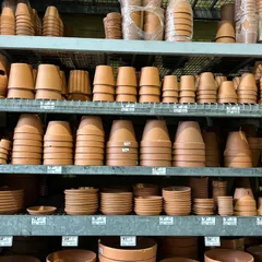 The right pot is just as important as the plant itself. I source a wide variety of planters, like these classic terracotta pots, in different shapes and sizes to match the style of your home and the needs of the plant.