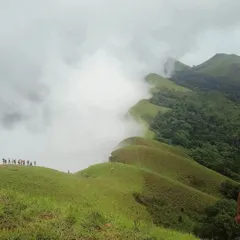 Standing above the clouds at Netravati Peak. This is the feeling of accomplishment and peace we chase on our treks. We handle all the logistics so you can focus on the climb and this incredible view.