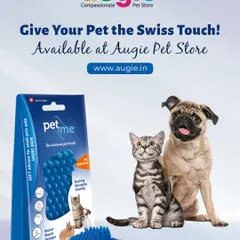 Give your pet the Swiss touch with the Pet+Me Blue Brush. It's made from 100% pure, soft silicone, making it perfect for small pets with short hair, like cats, rabbits, and small dogs. It gently brushes, massages, and cleans.