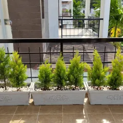 For a clean and modern aesthetic, I used a set of three matching rectangular planters. Filled with elegant cypress plants and topped with white pebbles, this arrangement creates a minimalist and sophisticated look for a contemporary apartment balcony.