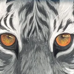 An intense close up on the tiger's eyes. I aimed to make them the focal point of the mural, capturing a lifelike glint that seems to follow you, showcasing the power of hyperrealistic animal portraiture.