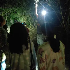 The world transforms after sunset. On a guided night walk, children use headlamps to discover the nocturnal life around them, turning a familiar place into a thrilling new environment for exploration and learning.