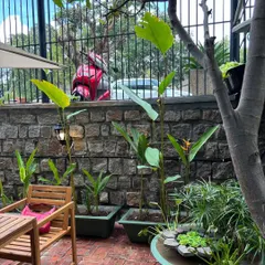 The elegant and subtle landscape we designed for the first Sweet Smith dessert shop in Mysore. We used a stone wall, potted plants, and a small water feature to create a charming and peaceful outdoor seating area.
