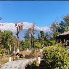 The stunning, snow-capped mountains of the Himalayas provide a breathtaking backdrop for our healing and transformation retreat in Dharmashala. Being in the presence of such grandeur helps put our lives into perspective.