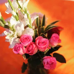 A beautiful close-up of pink and white roses, showcasing the quality and freshness of the flowers I use in my decor.