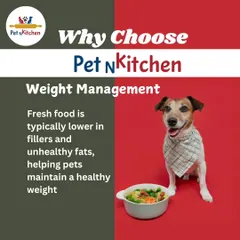 This image shows a fit dog next to a healthy bowl of food, illustrating how my meals help with weight management. I don't use fillers or unhealthy fats, making it easier for your pet to maintain a healthy weight.
