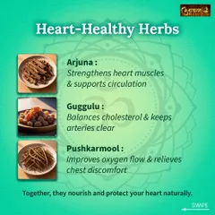 These are some of the most effective heart healthy herbs I prescribe. Arjuna strengthens heart muscles, Guggulu helps balance cholesterol, and Pushkarmool improves oxygen flow, all working together to nourish and protect your heart.