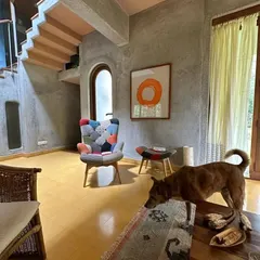A home should be a sanctuary, a place of warmth and personal expression. In this artist's residence, earthy textures, handcrafted details, and the quiet presence of a furry companion come together to create a space that is truly alive.