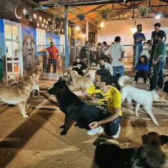 Even when the sun goes down, the fun doesn't stop. Our play area is well-lit for evening and nighttime play, making it a lively spot for our boarding dogs and late-daycare pups.