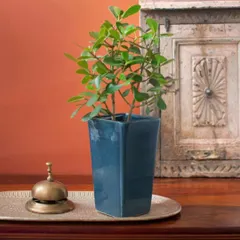 Another look at the Nile ceramic planter, styled on a console table. Its simple yet sophisticated design allows the plant to be the hero, while the planter itself adds a beautiful pop of color and texture.