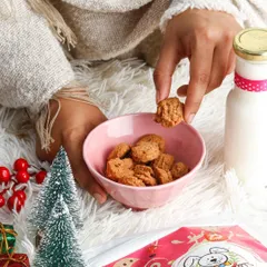 A cozy Christmas-themed shot for a pet treats brand. The warm blanket, miniature trees, and soft lighting create a heartwarming scene that pet owners can connect with during the holidays.