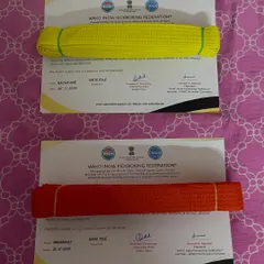The reward for dedication. These official WAKO India yellow and orange belts and certificates are ready to be handed out to students who have successfully passed their grading.