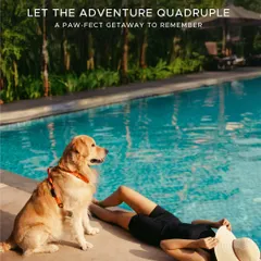 We believe that true getaways are shared with everyone you love. That's why we welcome your furry companions to enjoy our serene landscapes, with special amenities just for them in our 'Pawfect Petcation' experience.