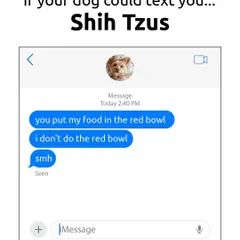 If a Shih Tzu could text, this would be it: "you put my food in the red bowl. i don't do the red bowl. smh." They have standards, you know.