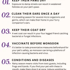 The monsoon season brings specific challenges like ticks and fungal infections. I've compiled these five essential tips, including keeping paws and coats dry, to help you protect your pet during the rainy season.