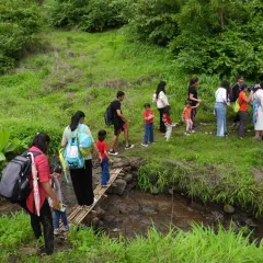 Adventure is a family affair. On our guided nature trails, families navigate paths together, crossing makeshift bridges and exploring lush greenery, turning a simple walk into a shared journey of discovery and teamwork.