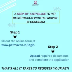 We've streamlined the entire pet registration process into two simple actions. Just fill out the online form and upload your documents. We handle all the legwork after that.