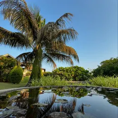 Stillness and reflection are at the heart of our retreat. This water feature, mirroring the sky and palms, is one of the many quiet corners you can find to pause and just be.
