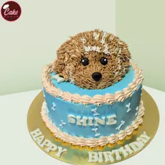 An adorable 3D puppy cake that's almost too cute to eat. The puppy's head is sculpted from cake and frosting, popping out of a blue base, perfect for any dog lover's birthday.
