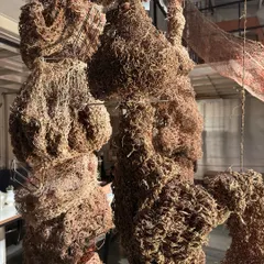 A detail of 'Colony', a sculptural piece from the 'Cu+Fibers' show. We used crochet and other fiber art techniques to create these organic, nest-like forms from natural materials.