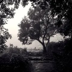 I shot this path at Kavaledurga in black and white to emphasize the textures and the dark, enclosing trees. The high contrast creates a dramatic, almost spooky atmosphere that a color photo wouldn't capture.