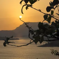 A creative and playful sunset shot. I waited for the exact moment the sun would "rest" on the branch, creating a fun illusion.