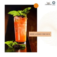 A beautifully garnished tequila cocktail, perfect for beating the heat. We teach the art of presentation, ensuring every drink you make looks as good as it tastes.
