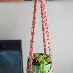 A single plant hanger in a lovely dusty rose color, holding a small green plant.