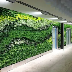 We bring nature indoors with stunning vertical gardens, like this one in a corporate hallway. These living walls are perfect for modern offices, improving air quality and creating a vibrant atmosphere.