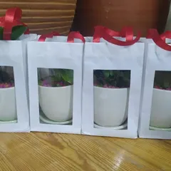 Each wedding favor is individually packaged with care. Here, our plant gifts are lined up in white window bags with red ribbon handles, ready for the special event.