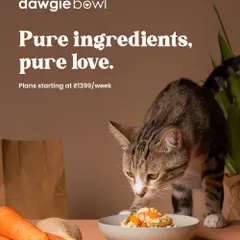 Our feline friends deserve the best, too! I ensure our recipes are perfectly balanced for both dogs and cats, using pure ingredients to create pure love in a bowl. This image shows a cat enjoying a meal with fresh carrots and other whole foods, highlighting our commitment to natural nutrition for all pets.