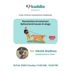 This graphic announces my free online masterclass on resolving common behavioral issues. These sessions are interactive, allowing you to ask questions and get personalized advice for your specific challenges.