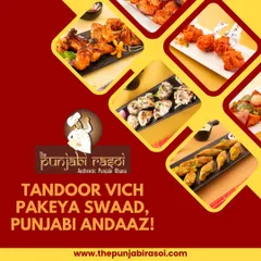 This platter shows the variety of starters cooked in our tandoor, Punjabi style. Each piece is packed with flavour, from spicy tikkas to creamy kebabs, offering something for everyone.