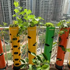 A beautiful balcony garden in a high rise building. The colorful towers add a splash of life against the urban backdrop, showing that you can garden no matter how high up you live.