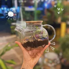This isn't just any teapot. It's a self-sustaining terrarium, a tiny green world that needs very little care. I love how the glass teapot creates a unique home for the plants and cute figurines inside.
