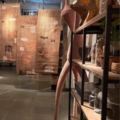 A view of our studio during the 'Cu+Fibers' exhibition. Hand-woven panels of jute and upcycled cotton hang alongside other sculptural forms, showcasing the aggregate of small discoveries made during our creative process.
