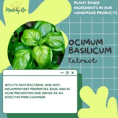 This is another entry in my ingredient series, focusing on Basil extract. Its natural anti-bacterial and anti-inflammatory properties make it a wonderful ingredient for skincare, helping to prevent acne and cleanse pores effectively.
